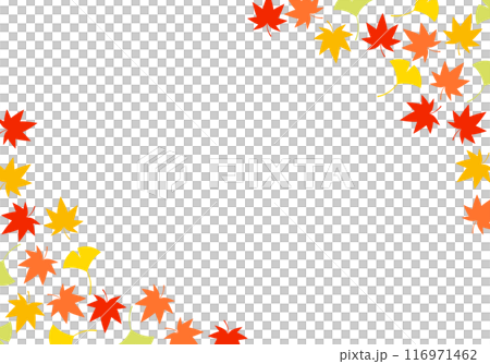 秋葉楓樹和銀杏框背景 16 秋葉楓樹和銀杏框背景 16 116971462