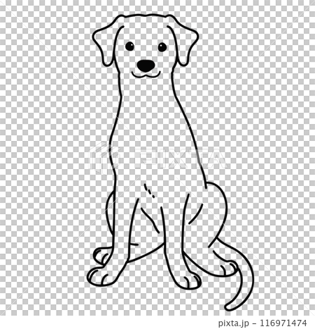 坐著的羅德西亞脊背犬的插圖，僅主線 116971474