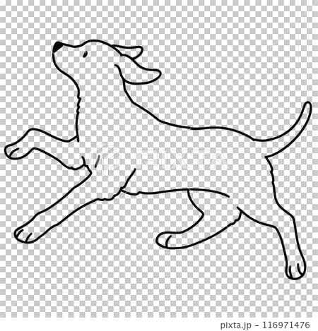 Illustration of a running Rhodesian Ridgeback (main lines only) 116971476