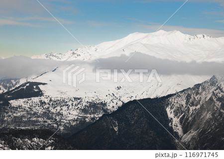 Snow-covered mountains with dense forest and peaks 116971745