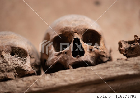 Ancient skull uncovered in catacomb depths Ancient skull uncovered in catacomb depths 116971793
