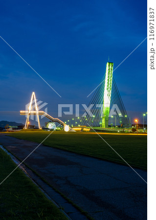 比美乃江公園のライトアップ　富山県氷見市 116971837