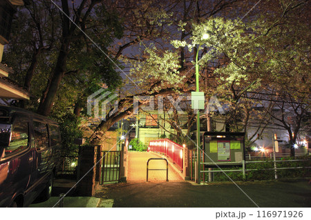 田園調布本町 桜坂 桜橋 夜景 116971926