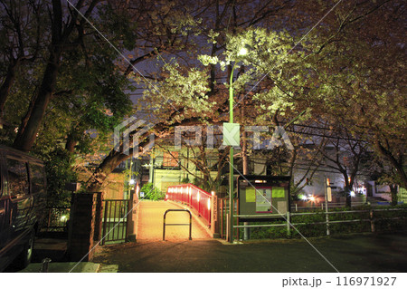 田園調布本町 桜坂 桜橋 夜景 田園調布本町 桜坂 桜橋 夜景 116971927