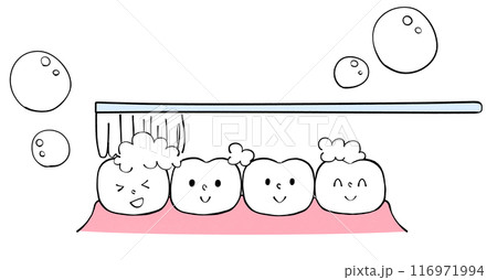 歯と歯ブラシ　歯みがきをするイラスト 116971994