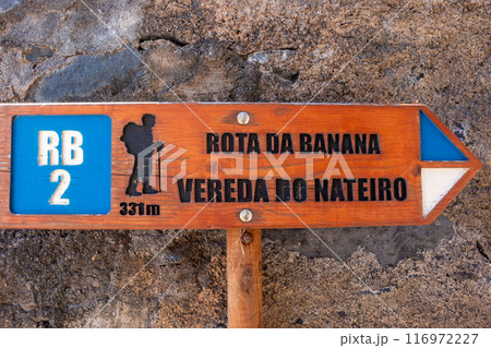 Translation Translation 116972227