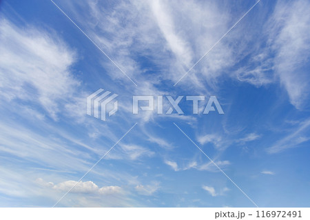 爽やかな青空と風にたなびく白い雲 爽やかな青空と風にたなびく白い雲 116972491