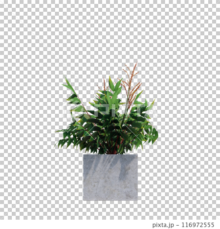 tropical plant pot green leaf white background 3d render illustration. plant tree houseplant botanical nature indoor garden decoration natural decoration flora. plants object isolated potted design. 116972555