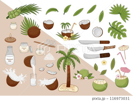 Set coconuts vector illustrations theme coconut production. Half coconut, slice, palm leaves, machete, coconut oil, milk, cream, coconut flakes. Set coconuts vector illustrations theme coconut production. Half coconut, slice, palm leaves, machete, coconut oil, milk, cream, coconut flakes. 116973031