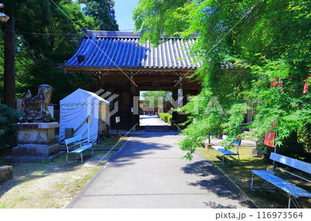 【香川県】四国霊場「第81番札所」白峯寺（綾松山・洞林院） 116973564