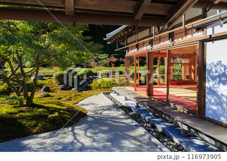 鎌倉 長寿寺 秋の特別拝観 鎌倉 長寿寺 秋の特別拝観 116973905