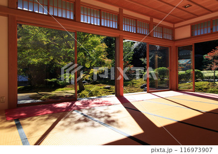 鎌倉 長寿寺　秋の特別拝観 116973907