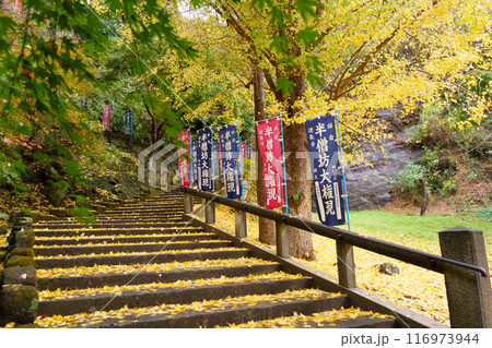 建長寺 黄色い銀杏の落葉が敷き詰められた参道(神奈川県鎌倉市) 建長寺 黄色い銀杏の落葉が敷き詰められた参道(神奈川県鎌倉市) 116973944