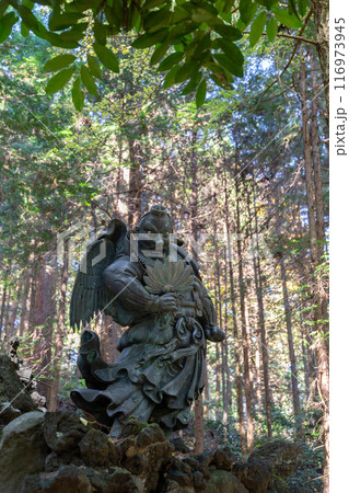 大雄山最乗寺　大天狗（神奈川県南足柄市） 116973945