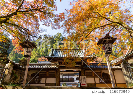 秋の大雄山最乗寺　瑠璃門と紅葉（神奈川県南足柄市） 116973949