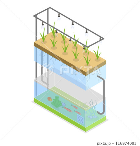 3D Isometric Flat Vector Illustration of Hydroponics, Aeroponics And Aquaponics In Greenhouse, Agriculture Methods for Crop Cultivation. Item 1 116974083