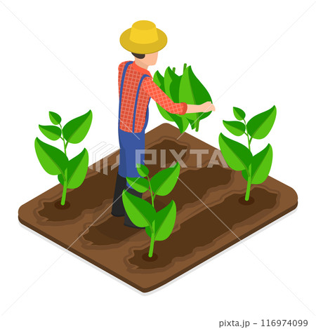 3D Isometric Flat Vector Illustration of Tobacco Industry, Cigarette Production. Item 4 3D Isometric Flat Vector Illustration of Tobacco Industry, Cigarette Production. Item 4 116974099