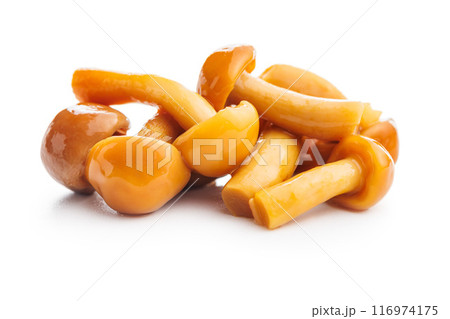 Pickled nameko mushrooms.Traditional japanese mushrooms isolated on white background. Pickled nameko mushrooms.Traditional japanese mushrooms isolated on white background. 116974175