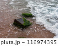 sea waves hitting moss-covered rocks 116974395