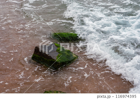 sea waves hitting moss-covered rocks sea waves hitting moss-covered rocks 116974395