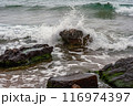coastal rocks and ocean waves 116974397
