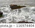 dynamic ocean waves on rugged shore 116974404