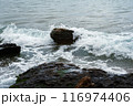 waves crashing on rocky shoreline 116974406