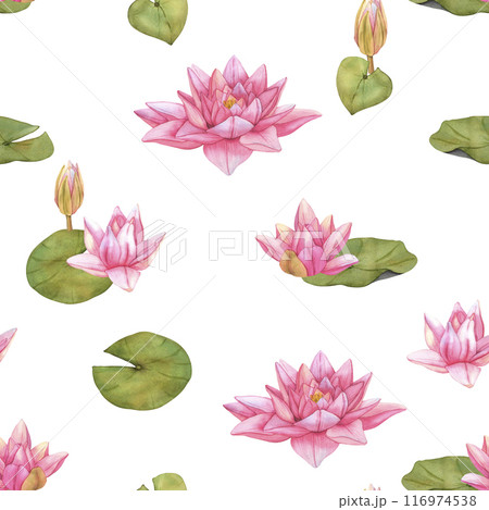 Seamless pattern Lotus Flowers and Buds with Green Leaves on white Background for Fabric and Decorative Patterns 116974538