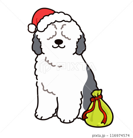 クリスマスのシンプルで可愛いシープドッグのイラスト　主線あり 116974574