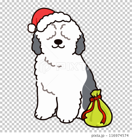 クリスマスのシンプルで可愛いシープドッグのイラスト　主線あり 116974574