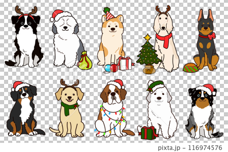Simple and cute illustration set of large dogs for Christmas 116974576