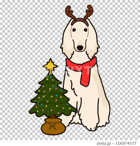 Simple and cute Christmas Afghan Hound illustration with main lines 116974577