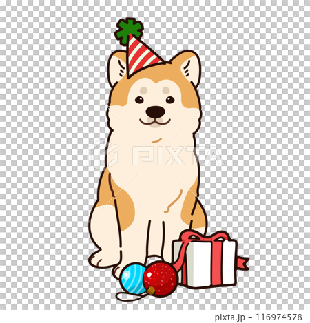 簡單可愛的秋田犬聖誕插畫主線 116974578