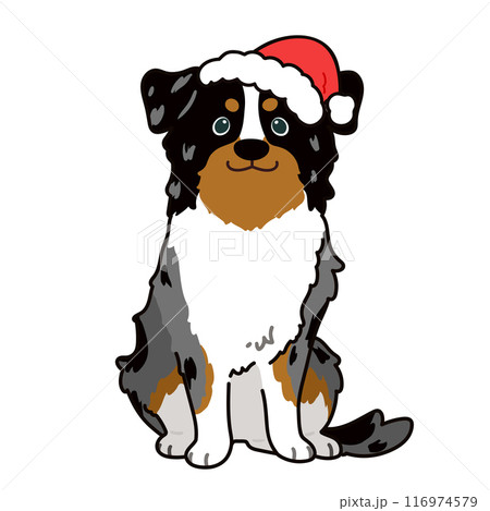 クリスマスのシンプルで可愛いオーストラリアンシェパードのイラスト 主線あり クリスマスのシンプルで可愛いオーストラリアンシェパードのイラスト 主線あり 116974579