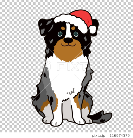 聖誕節簡單可愛的澳洲牧羊犬插畫與主線 聖誕節簡單可愛的澳洲牧羊犬插畫與主線 116974579