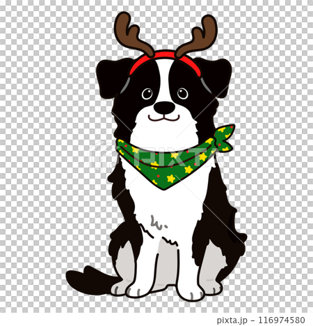 A simple and cute Christmas border collie illustration with main lines A simple and cute Christmas border collie illustration with main lines 116974580