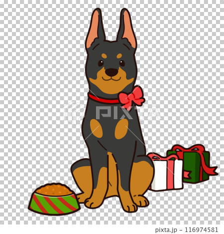 Simple and cute Christmas Doberman illustration with main lines 116974581