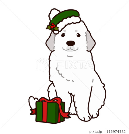 クリスマスのシンプルで可愛いグレートピレニーズのイラスト　主線あり 116974582