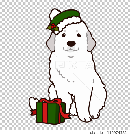 クリスマスのシンプルで可愛いグレートピレニーズのイラスト　主線あり 116974582