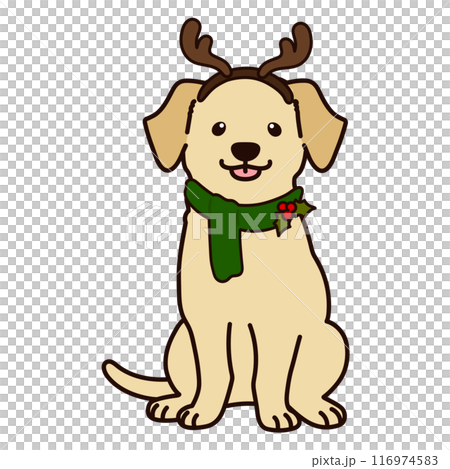 クリスマスのシンプルで可愛いラブラドールのイラスト　主線あり 116974583