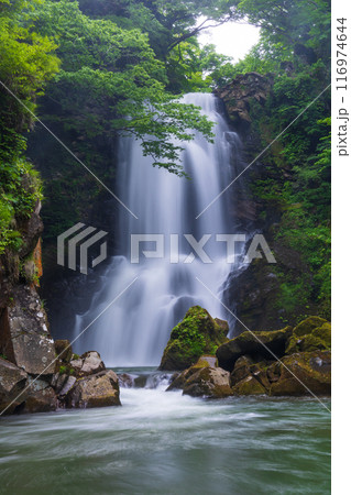 秋田県にかほ市の初夏　新緑の奈曽の白滝 116974644
