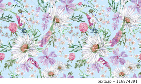 Summer seamless pattern with daisy clover flowers and other wildflowers drawn 116974891