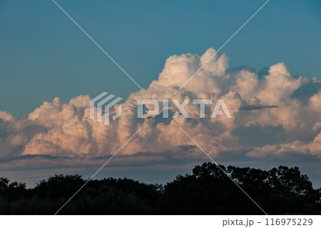 夕日に照らされた入道雲 夕日に照らされた入道雲 116975229