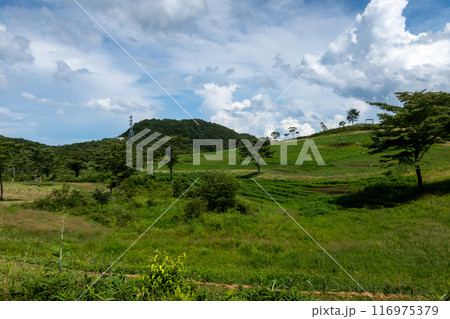 内山牧場　長野県佐久市 116975379