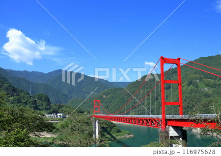 赤色の大渡ダム大橋 初夏の景観 (高知県 仁淀川町) 赤色の大渡ダム大橋 初夏の景観 (高知県 仁淀川町) 116975628