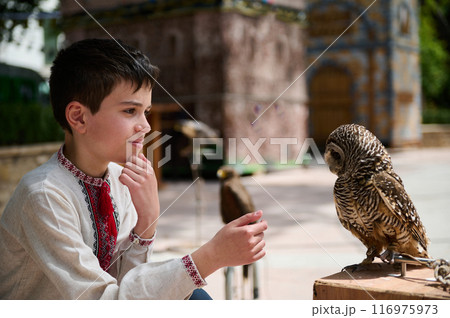 Boy interacting with owl outdoors displaying curiosity and fascination 116975973