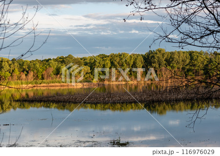 A gorgeous view of water near trees and plants at a local park in Minnesota. 116976029