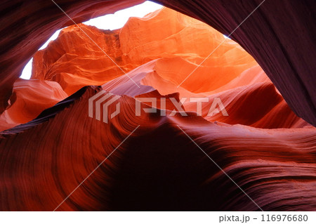 アメリカ、アリゾナ州の秘境アンテロープキャニオン アメリカ、アリゾナ州の秘境アンテロープキャニオン 116976680