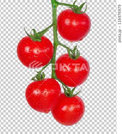 Cherry tomatoes on a branch. Red tomatoes isolate 116976979