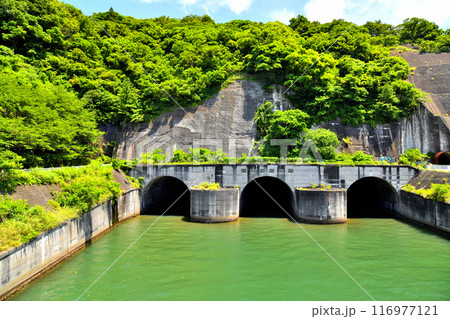 口野橋/狩野川放水路周辺(静岡県沼津市)【2024.7】 口野橋/狩野川放水路周辺(静岡県沼津市)【2024.7】 116977121